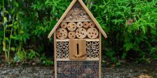 Bee Hotel