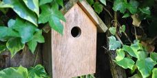 Bird Nesting Box