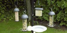 Bird feeders