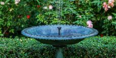 Free Standing Bird Bath